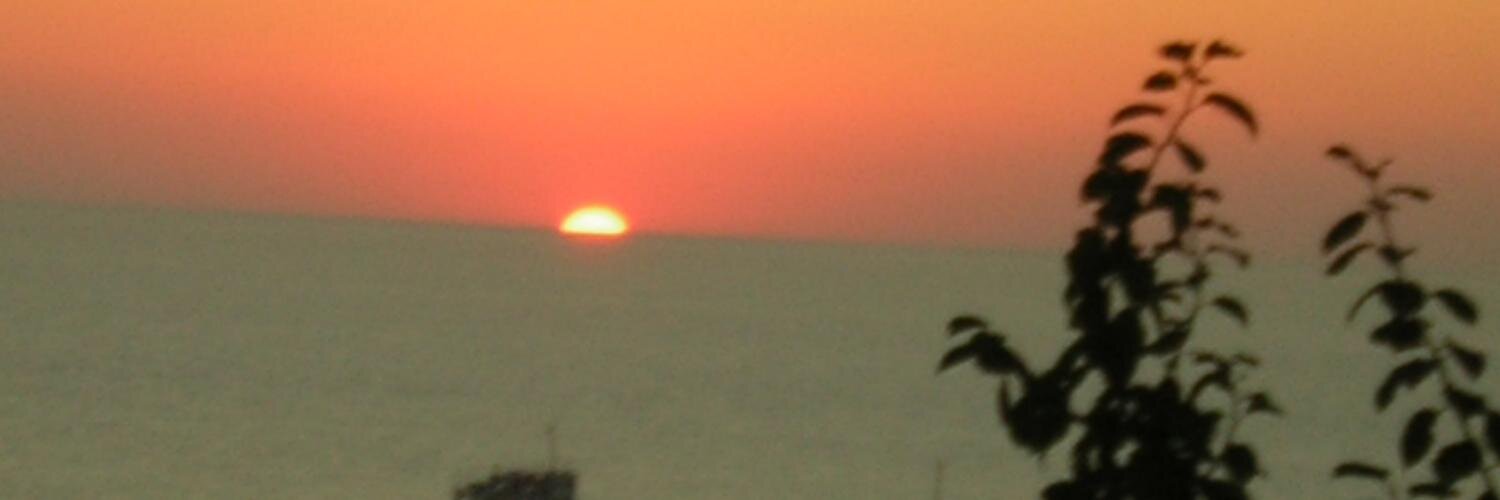cozsarac's profile banner image