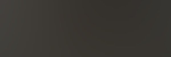 Sangtsangt Profile Banner