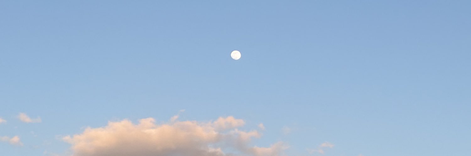 しゃち's banner