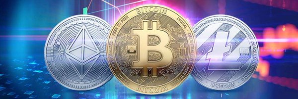 WHALES_CRYPTOt Profile Banner