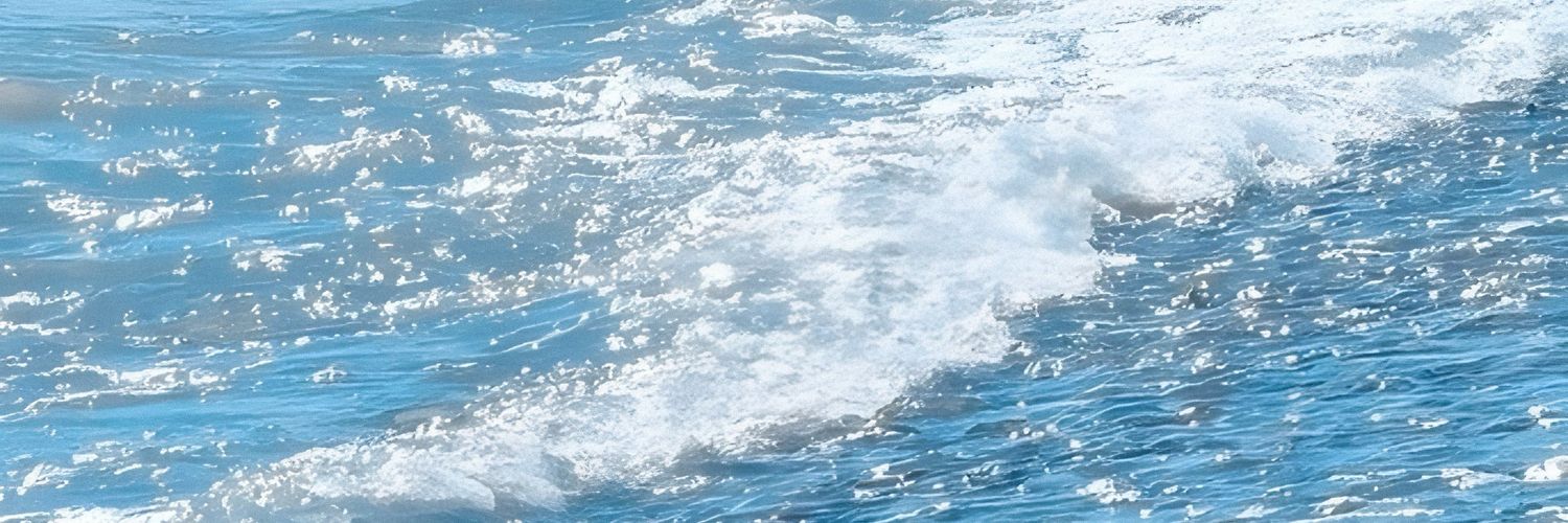 𝐧𝐚𝐝 ࣪˖ ִֶָ🏀་༘࿐ banner