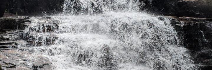 kellidima's profile banner image