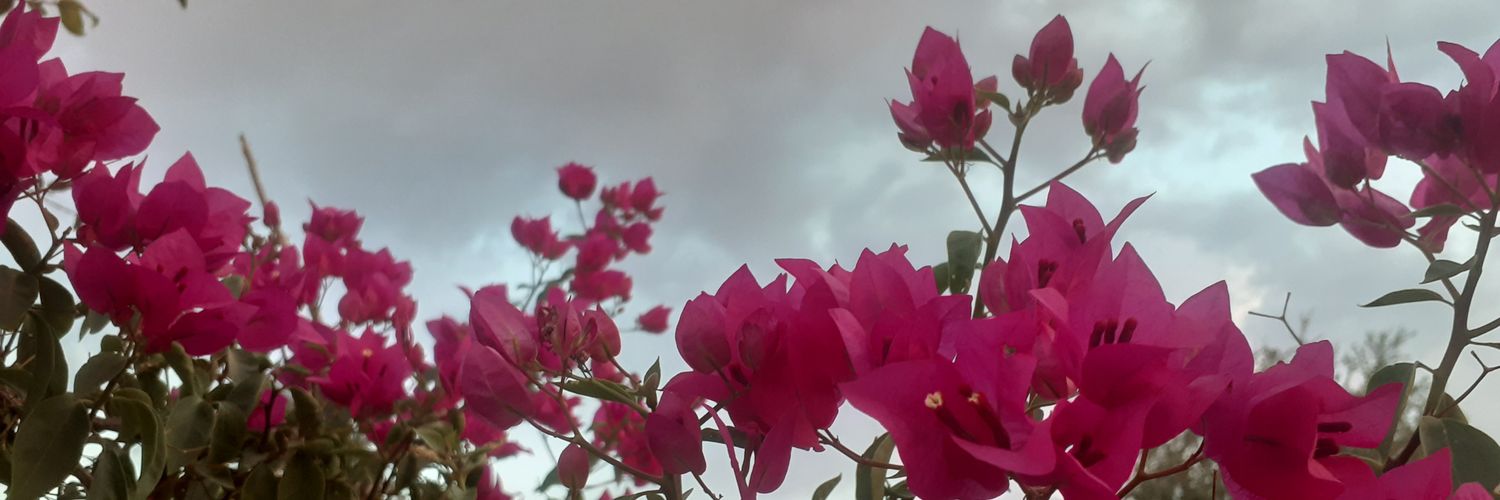 LorenaMolinaN's profile banner image