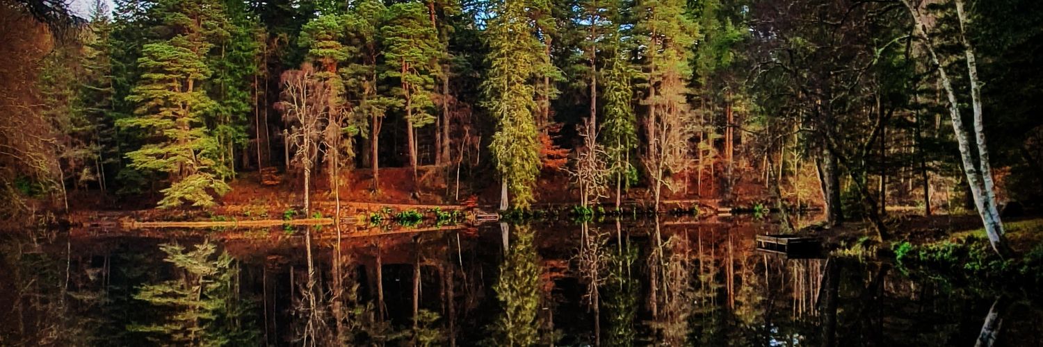 RuthTrotter's profile banner image
