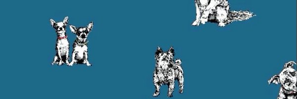 BestDogContent Profile Banner