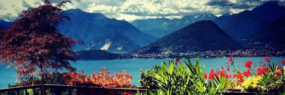 Gabriel Paulison banner