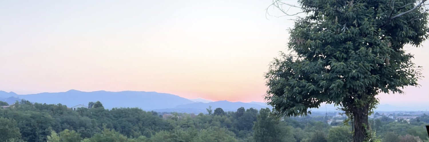 steotriumph's profile banner image