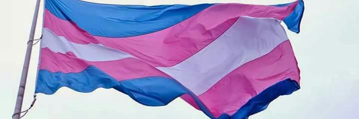 travestchyn's profile banner image