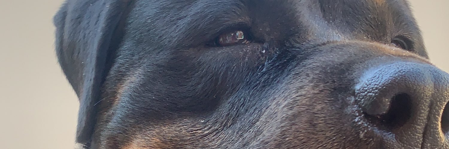 itsslorraine's profile banner image