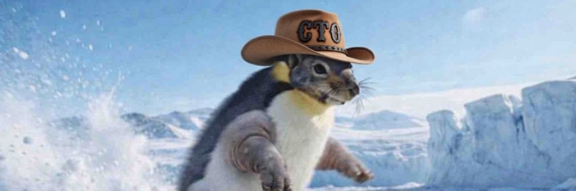 🪝solid to the bone banner