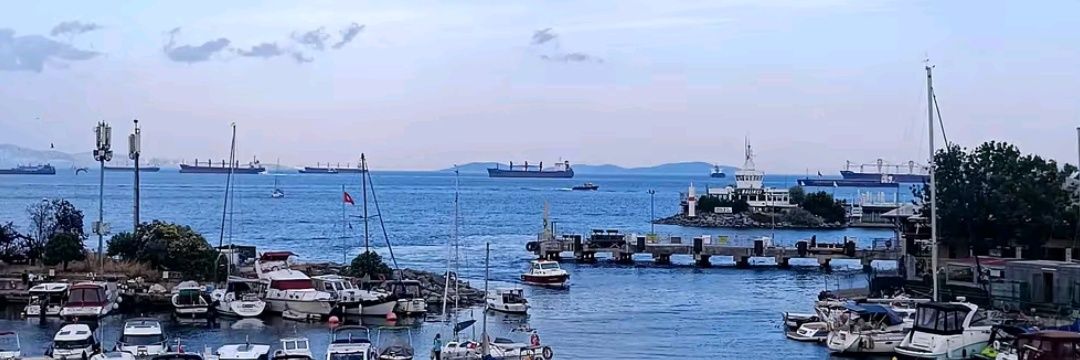 iclalgltekin81 banner