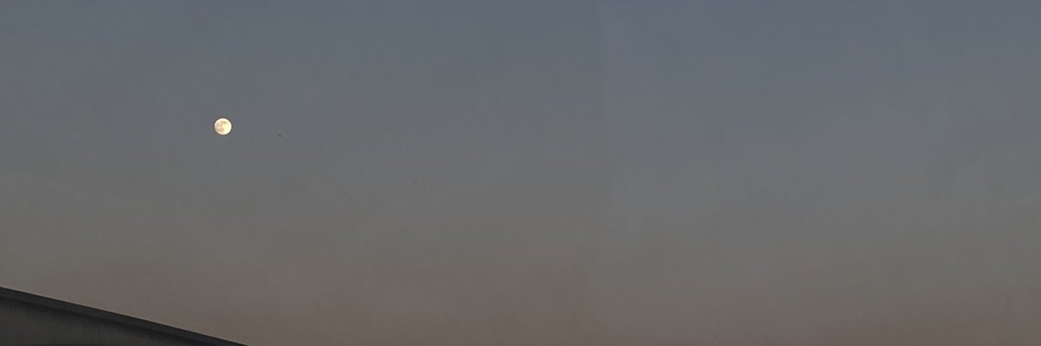 EmSquiz's profile banner image