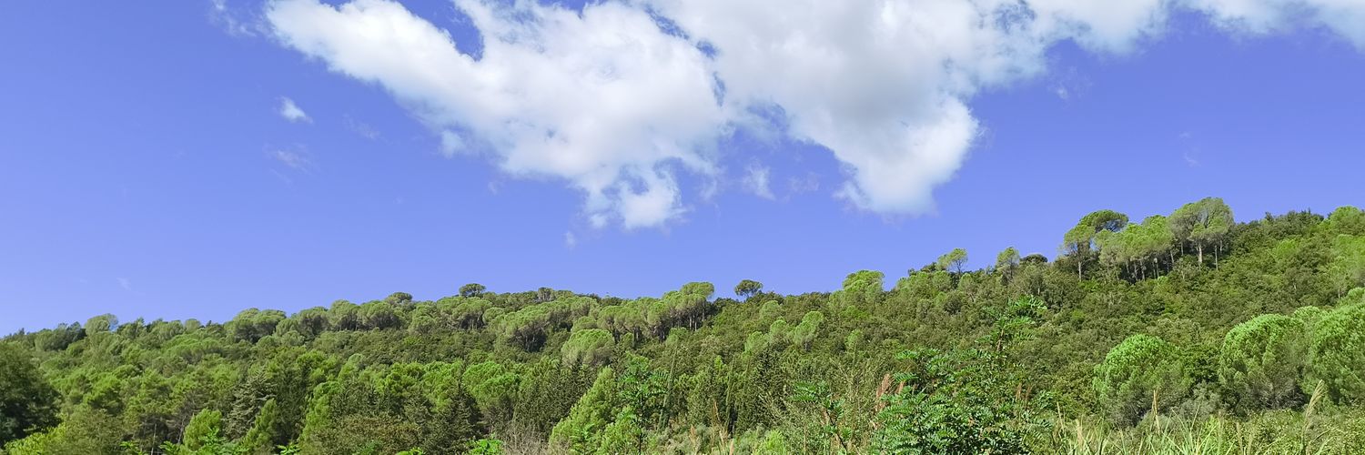 Federico Morelli (Mobytrip) banner