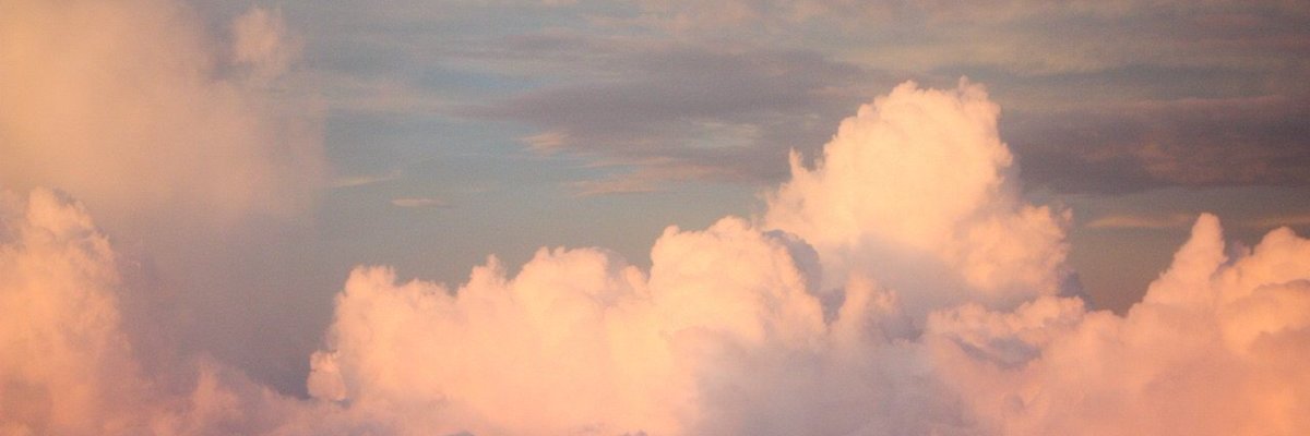 Nona Shmuedyak banner