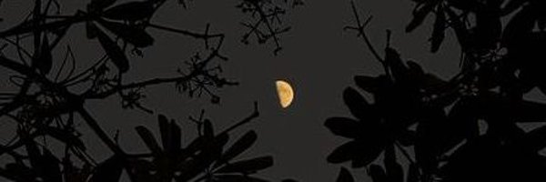 itxabdullaa Profile Banner