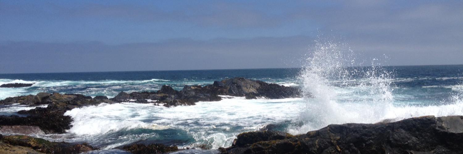 panchorosello's profile banner image