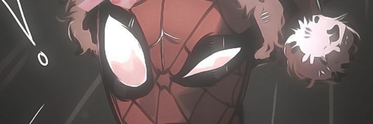 spidy1b's profile banner image