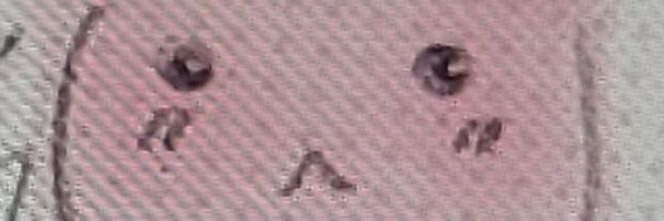 jinbora__ Profile Banner