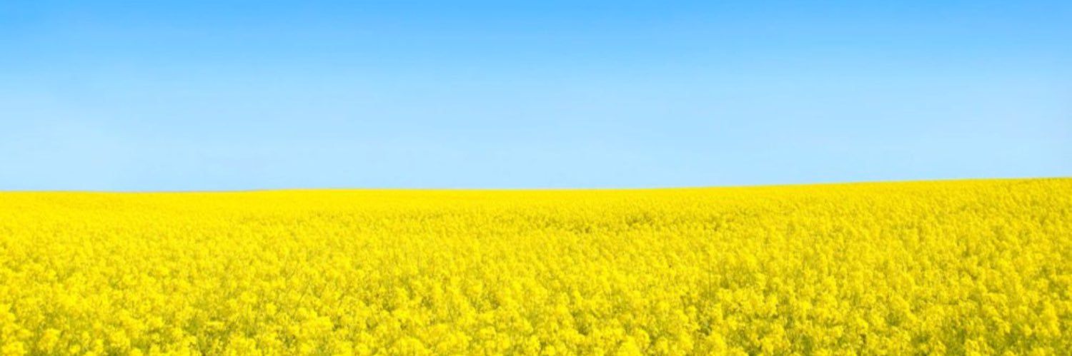 SimplePui's profile banner image
