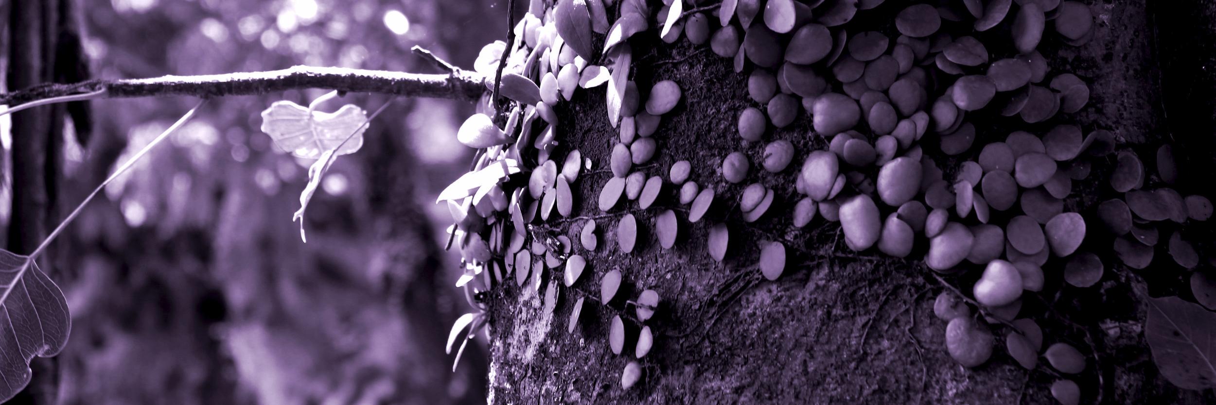 jaylanghurst's profile banner image