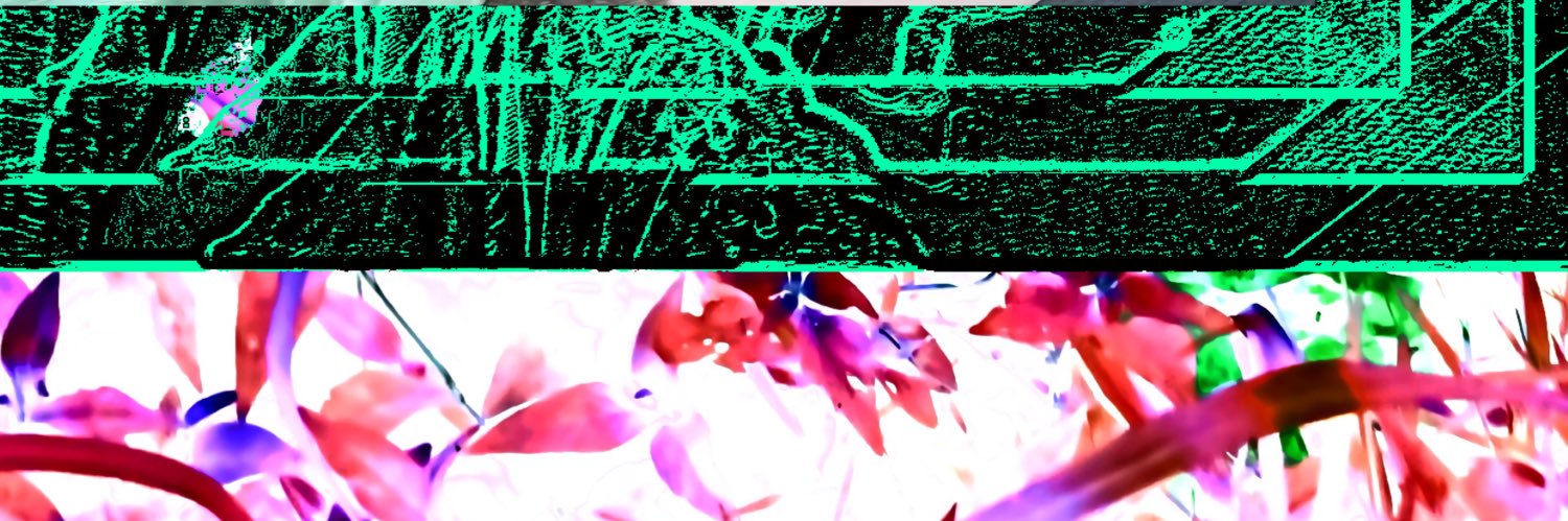 ⚢⚧︎ 𝐀𝐥𝐢𝐜𝐞 ☯︎⋆˚࿔ ⚠︎🔞 banner