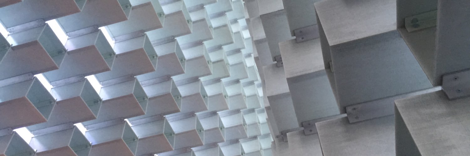 Prof Jennifer Whyte banner