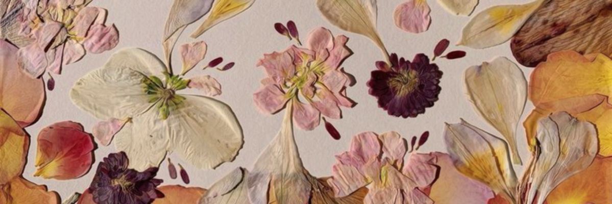 ari_mmm30826's profile banner image