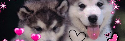 housebdn's profile banner image