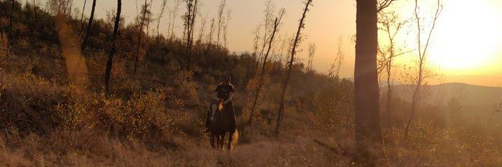 Franzi667's profile banner image