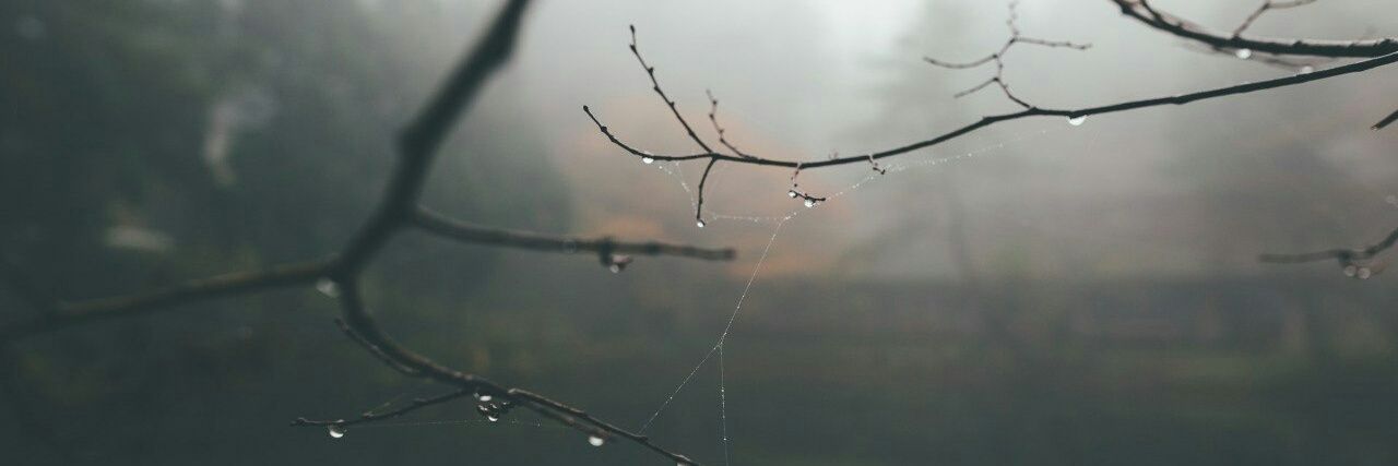 Wolf_Loner_'s profile banner image
