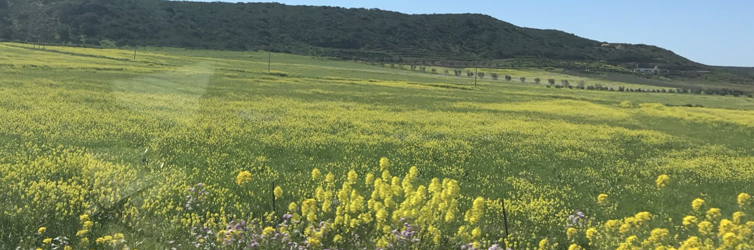 MariaXimenafs's profile banner image