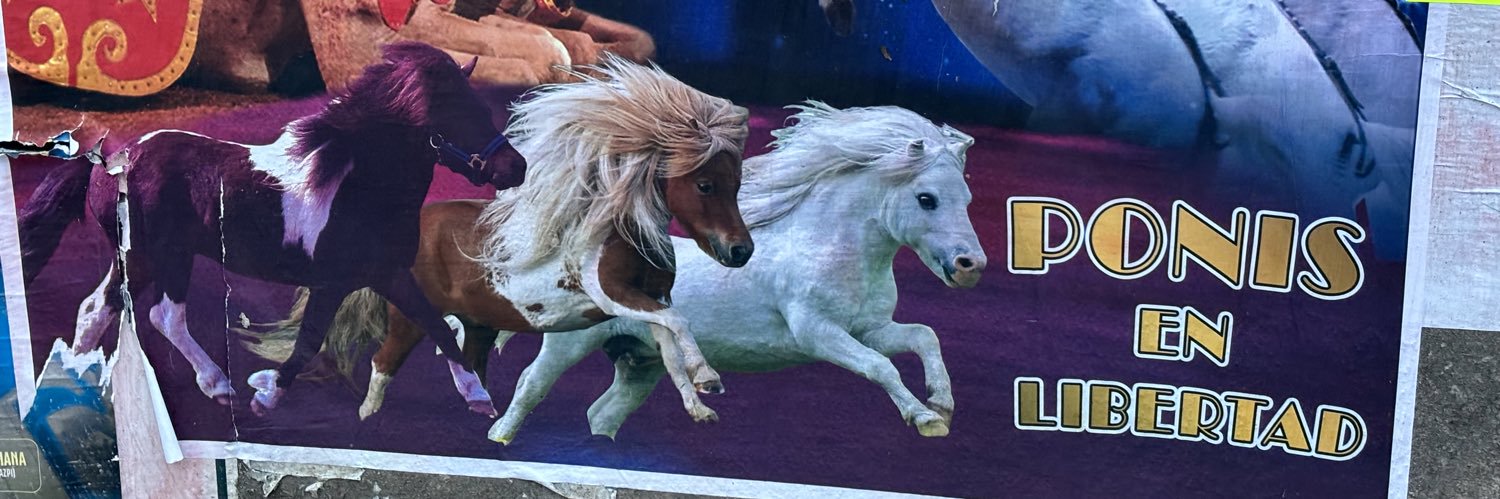 🤍masterbeef🤍 banner