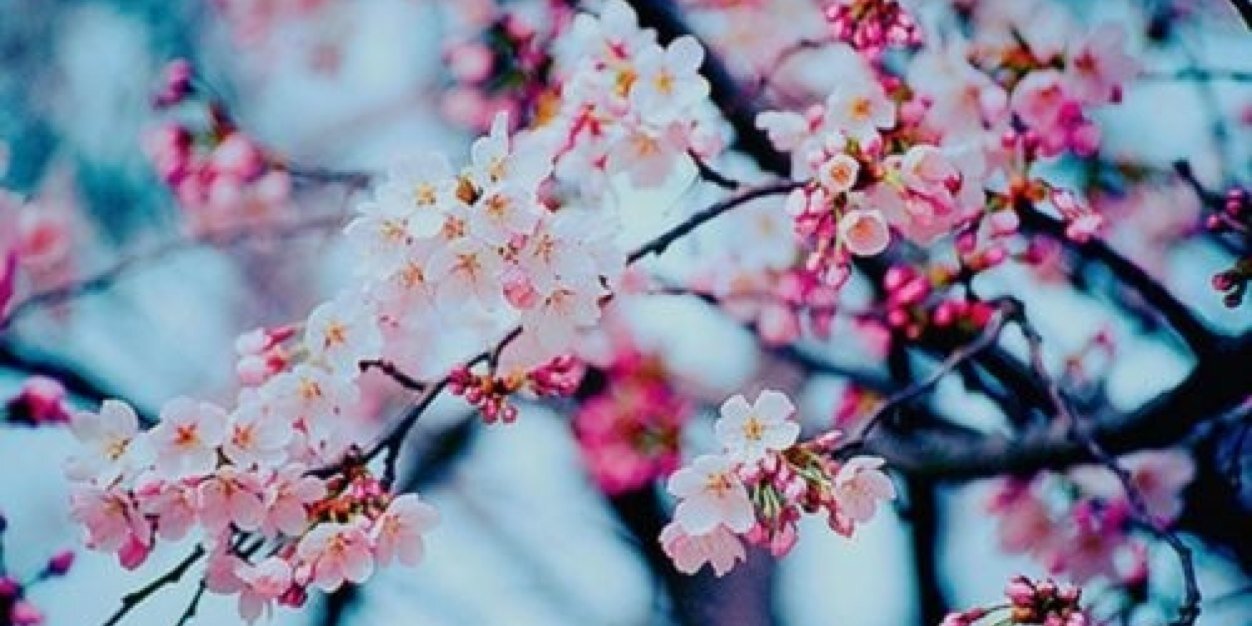 x_picture's profile banner image