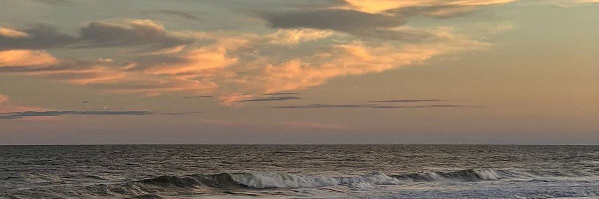 xmalutx's profile banner image
