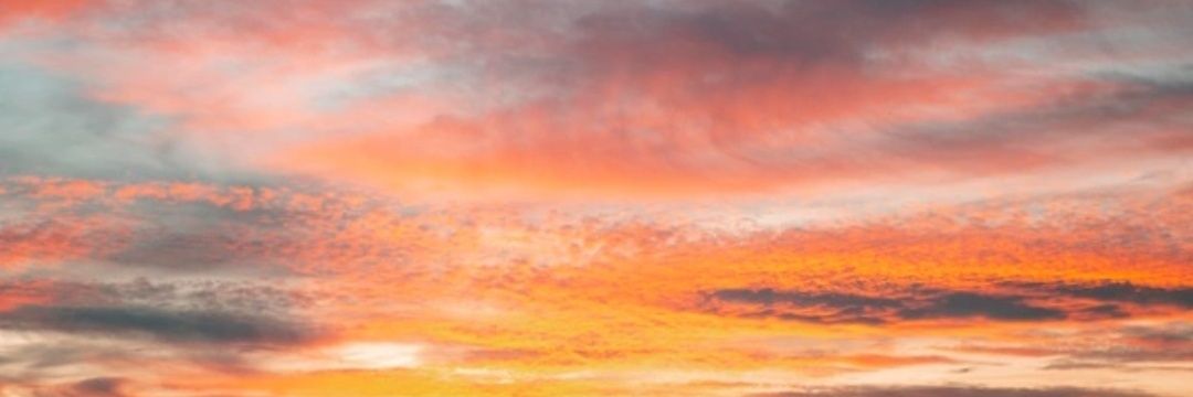 Celiapft_5's profile banner image