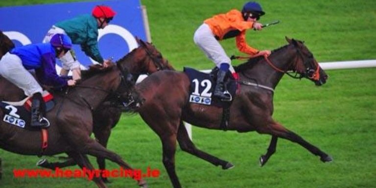 Andy Robertson banner