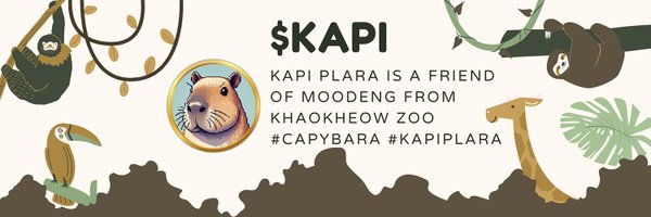 kapiplaracto Profile Banner