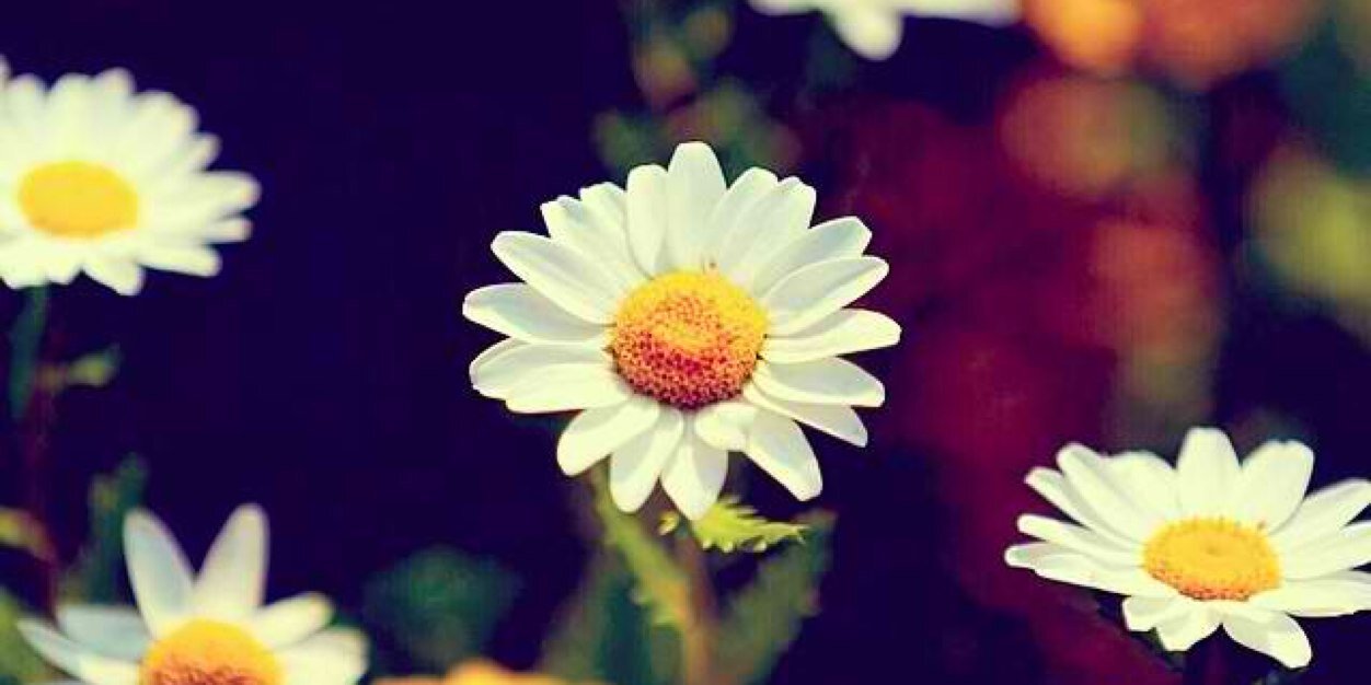ahnb89's profile banner image