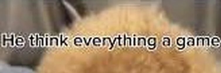 sam's banner