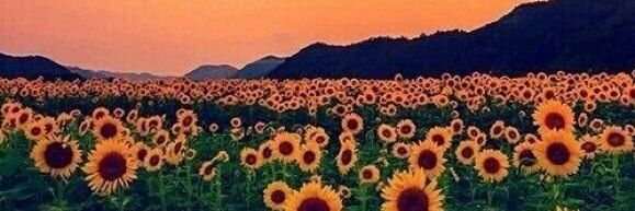 HabechKllosy's profile banner image