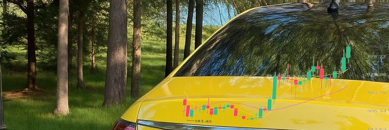 feiyu99898's profile banner image