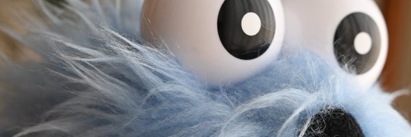 sunsun__life Profile Banner