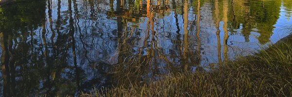 MichaelBover540 Profile Banner