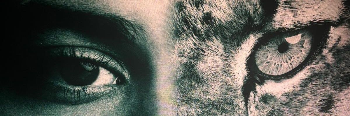 thebitterfalls's profile banner image