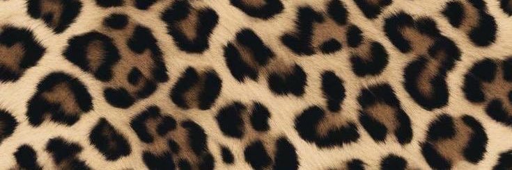 lumibenber's profile banner image