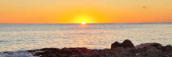 rocagiao's profile banner image