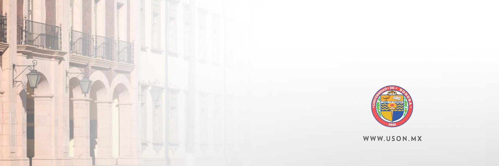 EconoSociedad's profile banner image