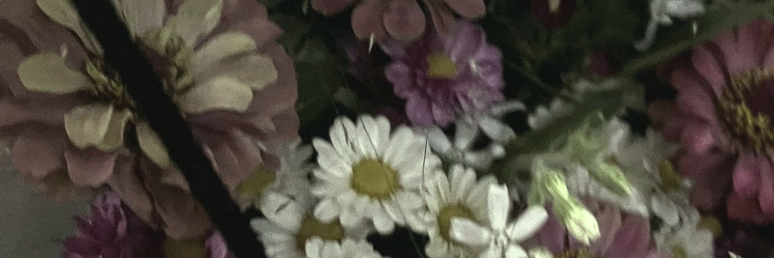 𓃠 banner