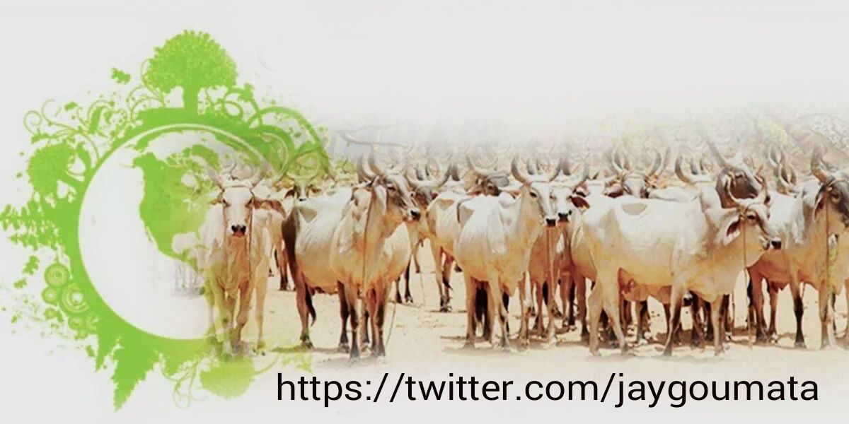 Gomata Gau SevaTrust banner