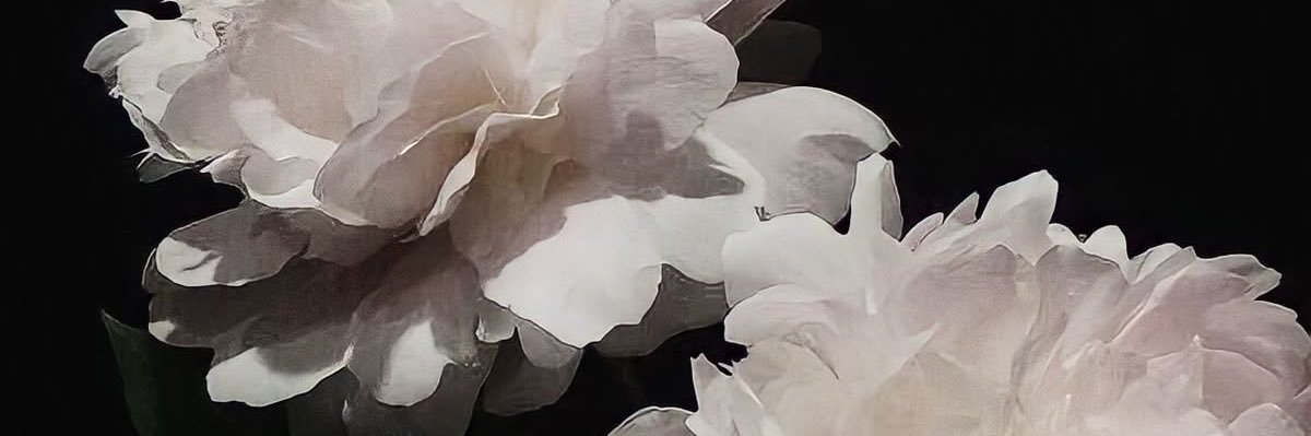 isadora ૮ ․ ․ ྀིა banner